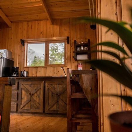 Finca Las Huellas: Cabana Acogedora En La Montana Villa Estrella Dış mekan fotoğraf