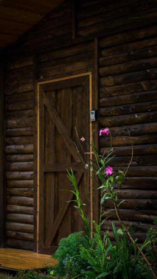 Finca Las Huellas: Cabana Acogedora En La Montana Villa Estrella Dış mekan fotoğraf